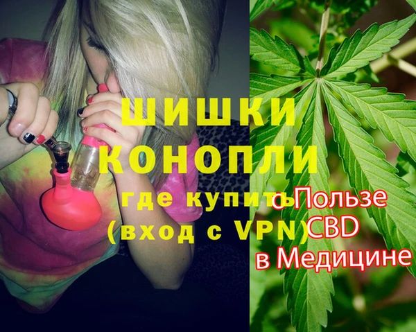мдпв Гвардейск