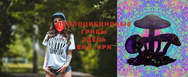 apvp Абаза