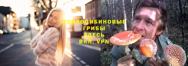 мдпв Гвардейск